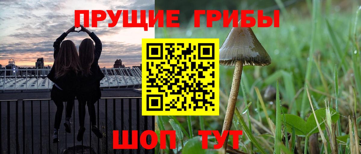 Химки  Псилоцибиновые грибы Psilocybine cubensis  Вход с VPN  Псилоцибиновые грибы мухоморы 