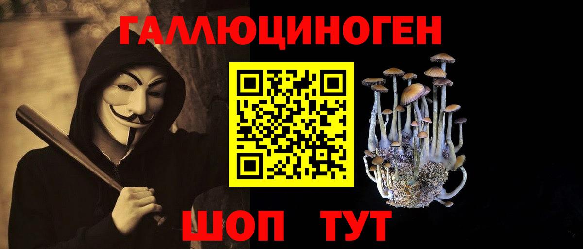 Галлюциногенные грибы Psilocybe Химки